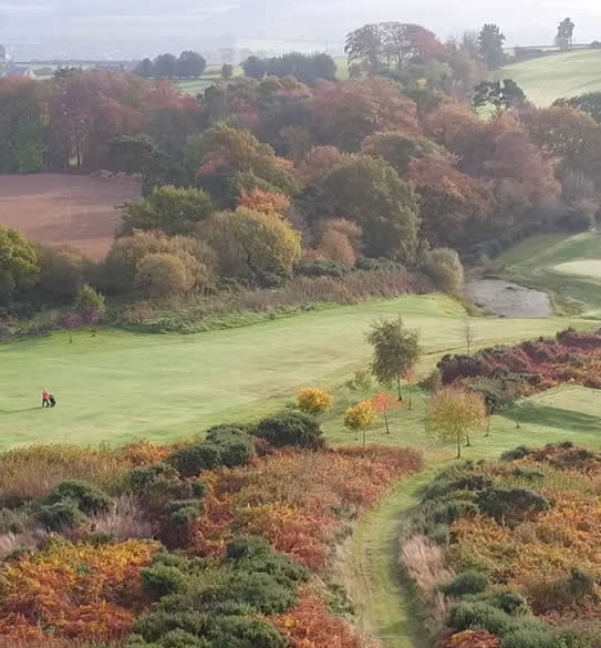 Golf Course Drone Video